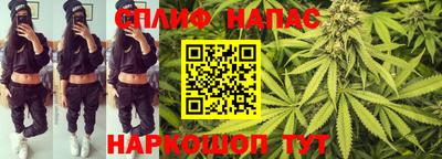крисы Можга