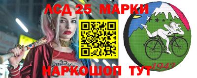 крисы Можга