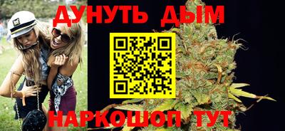 крисы Можга