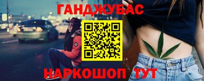 крисы Можга