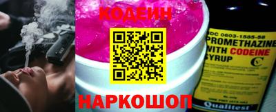 крисы Можга