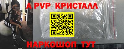крисы Можга