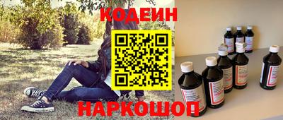 крисы Можга