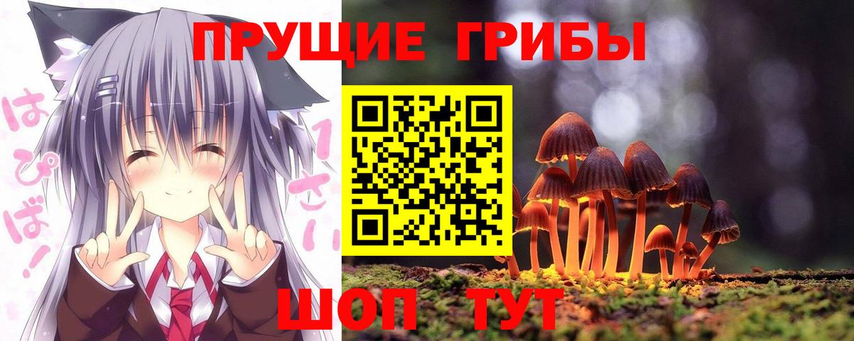 Псилоцибиновые грибы ЛСД  где продают   Соликамск  Вход с VPN  Галлюциногенные грибы Magic Shrooms 